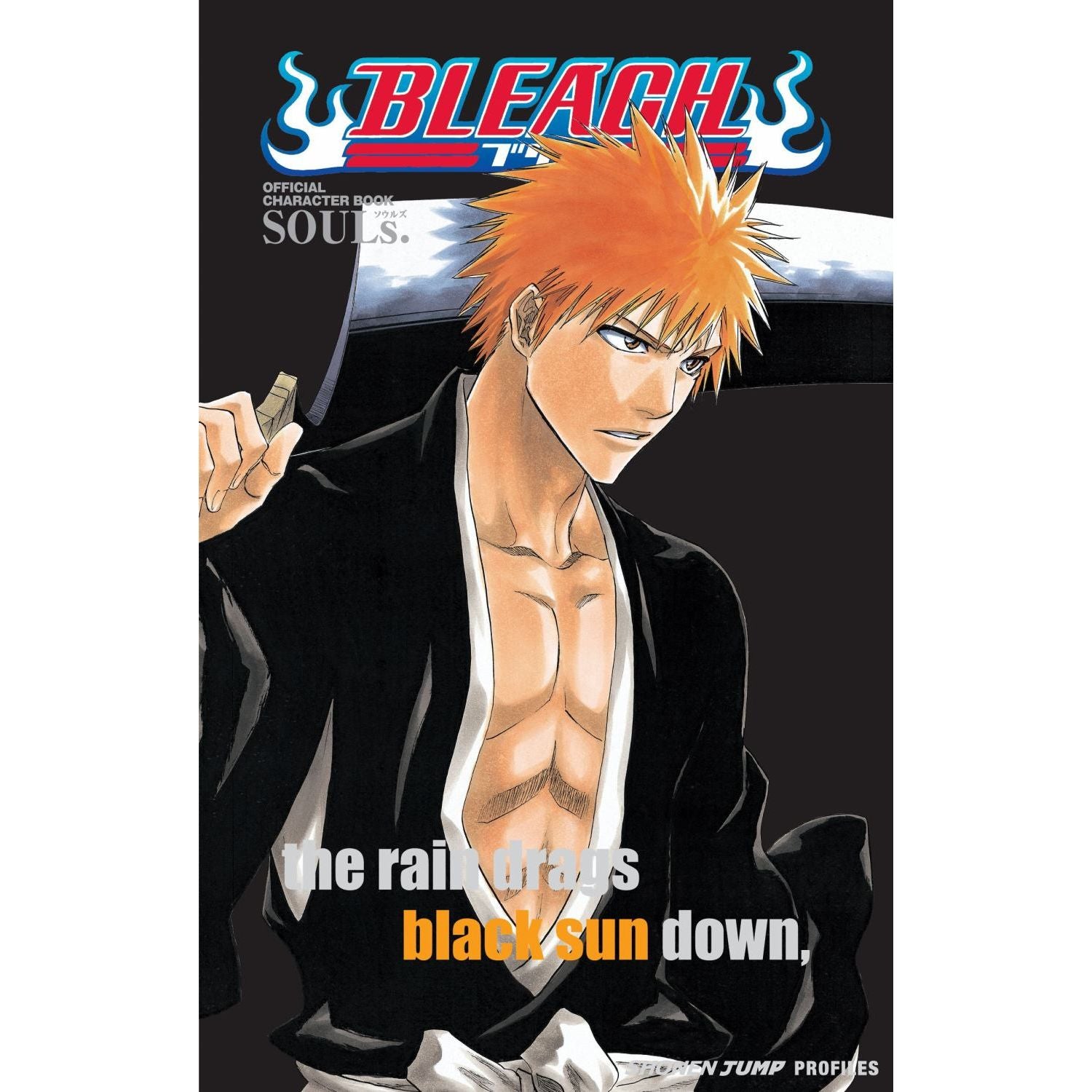 Bleach SOULs. Official Character Book