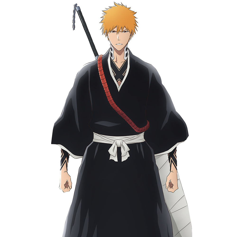Ichigo Kurosaki Standee - Souvenir Bleach